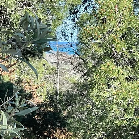 בקתה T3 4/6 Personnes A