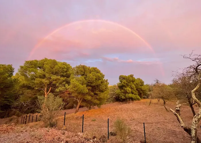 T3 4/6 Personnes A Chalet